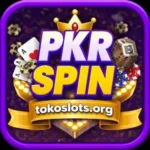 PKRSpin VIP